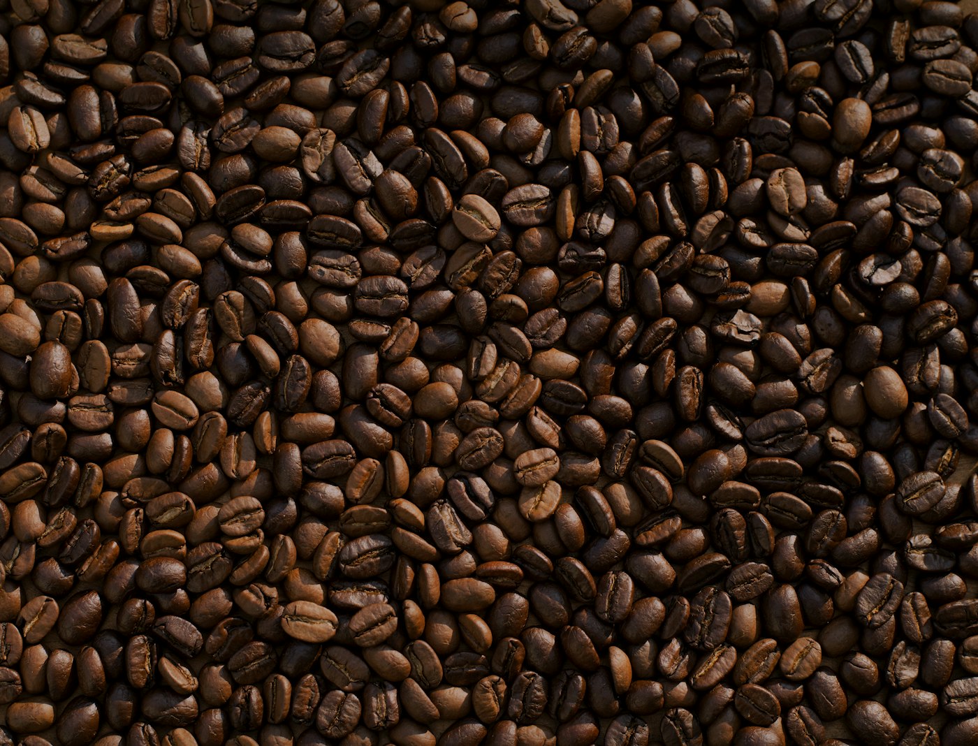 Roasted coffee beans representing Jamaica Blue Mountain coffee