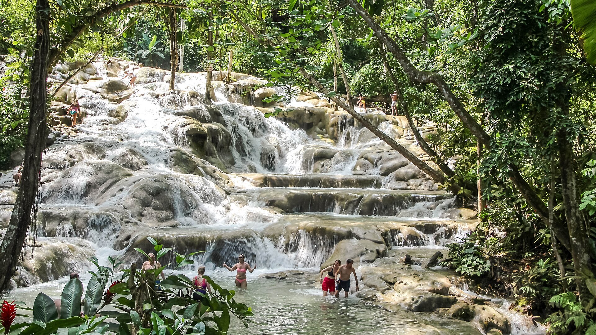 Tours and Attractions